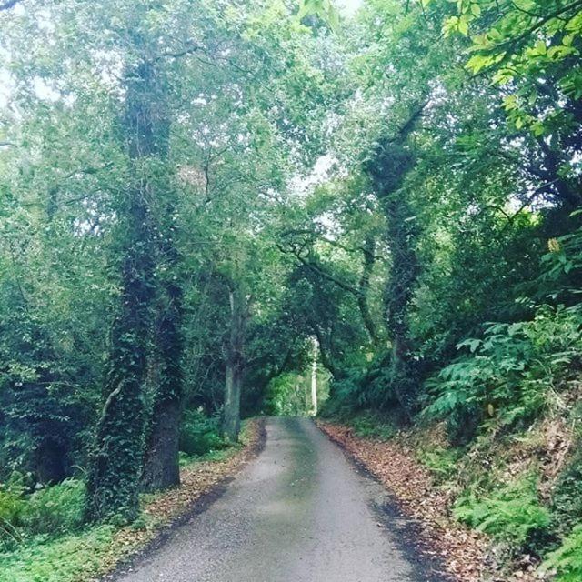Somavilla Cantabria Esterno foto